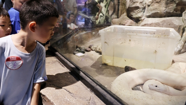 視頻|“世界蛇日”南通森林野生動(dòng)物園舉行蛇類(lèi)科普活動(dòng)