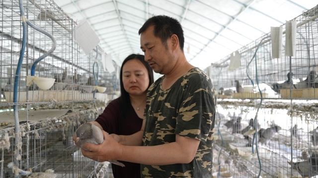 至4月底如東今年已開展大型農(nóng)業(yè)招商活動(dòng)13場 年度計(jì)劃總投資達(dá)14.5億元